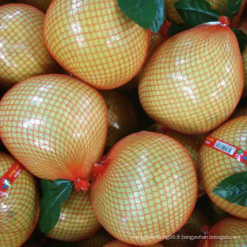 Chinois exportant le pomelo de miel frais standard